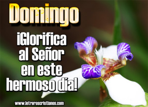 Glorifica-al-Senor