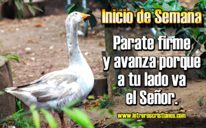 Inicio-de-semana-parate-firme