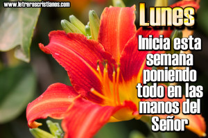 Lunes-poniendo-todo-en-las-manos