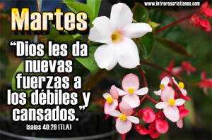 Martes-Isaias-40-29