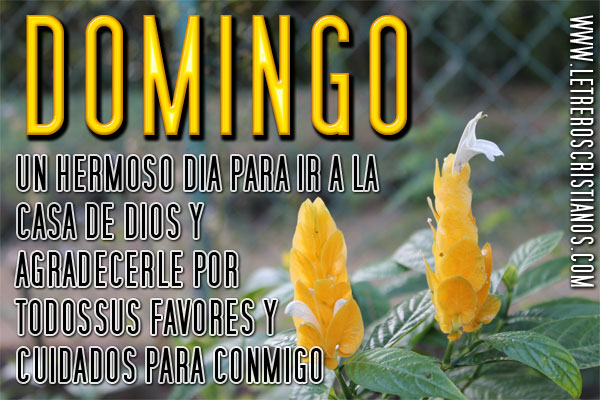 Domingo-un-hermoso-dia-para-agradecer