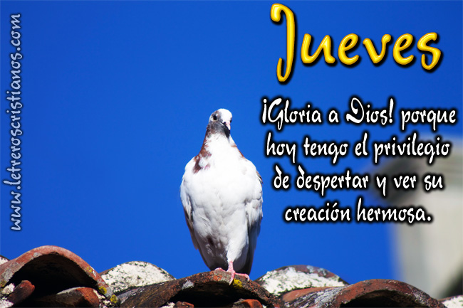 Jueves-ver-su-creacion-hermosa