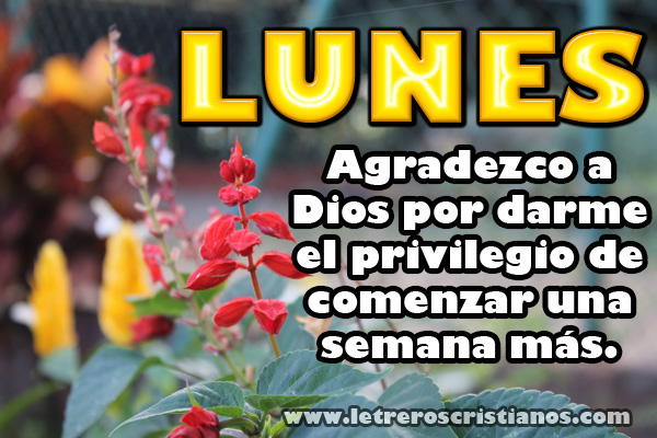 Lunes-privilegio-de-Dios