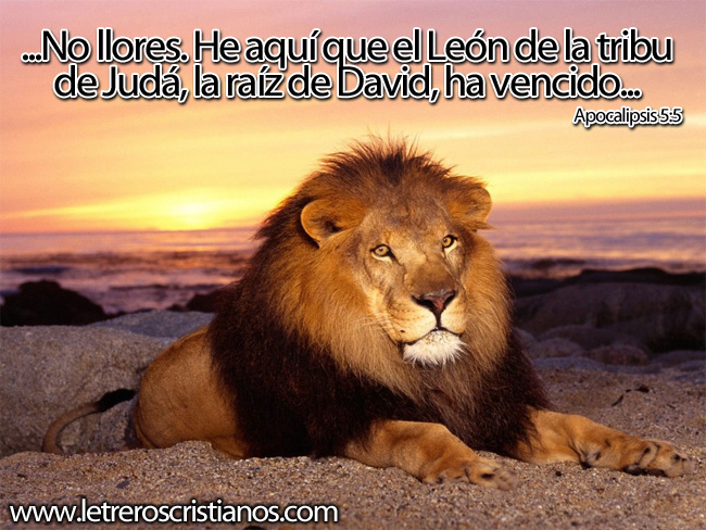 El León de la tribu de Júda ha vencido – Letreros  ::  Imagenes Cristianas, Imagenes para Facebook, Frases Cristianas