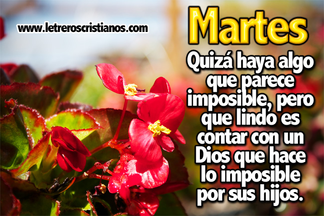 Martes – Dios hace lo imposible por sus hijos – Letreros  ::  Imagenes Cristianas, Imagenes para Facebook, Frases Cristianas