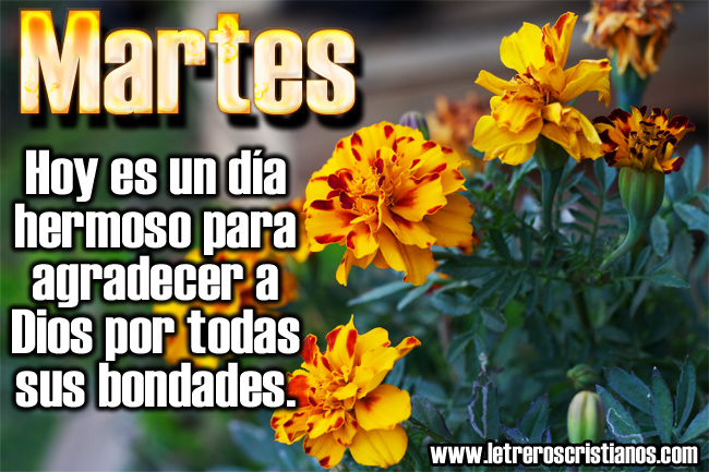 Martes – Día hermoso – Letreros  :: Imagenes Cristianas,  Imagenes para Facebook, Frases Cristianas