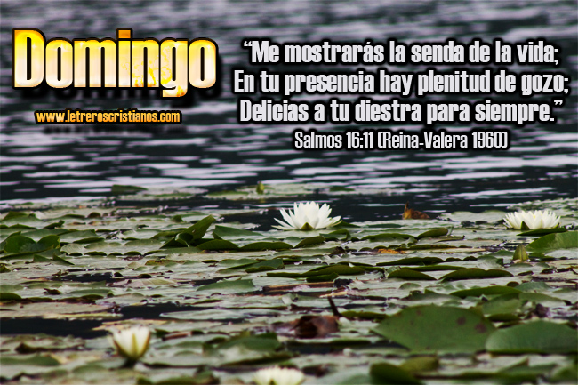 Domingo – Salmos 16:11 RV1960 – Letreros Cristianos.com ...